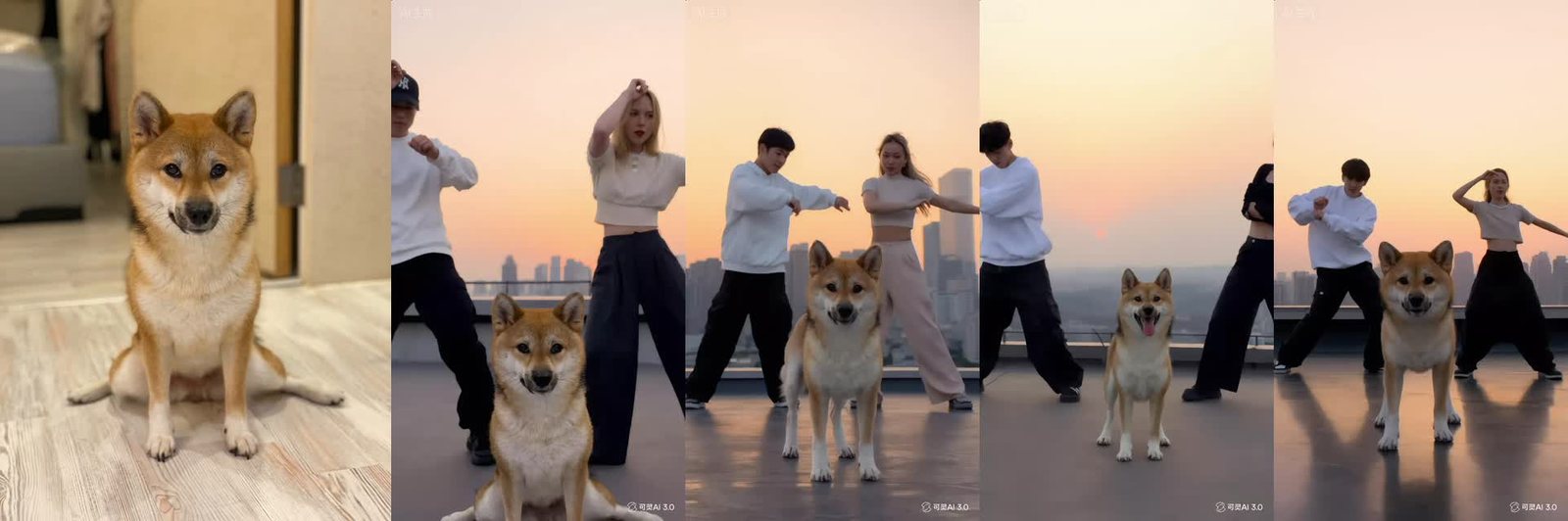 最左邊是柴犬照片，右邊是可靈生成的 4 張定格圖